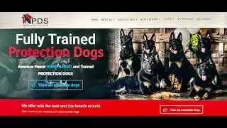 Never Miss A PDS Video Again Turn On Your Notifications! #PersonalProtection  #RaisedInTheHome #Dogs