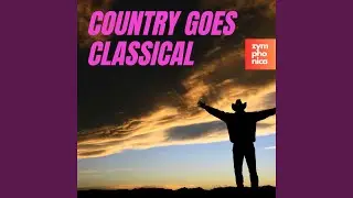 Beautiful Things (Steel Guitar & Symphony Orchestra Version)