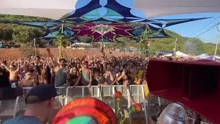 Tribe of nova 🎶