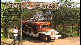 Animal Adventures at Zoobic Safari