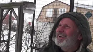 Київщина.Голуби Михайла.