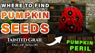 Where to Find Pumpkin Seeds | Pumpkin Peril Quest ► Tainted Grail: The Fall of Avalon