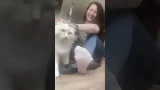 He likes white tights.