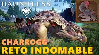 CHARROGG - RETO INDOMABLE - DAUNTLESS + BUILD