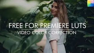 Free Luts for Premiere Pro