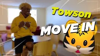 Towson Run Apartment Tour + Setup