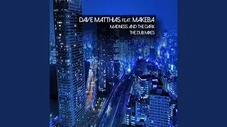 Madness and the Dark (Crazibiza Dub Remix)