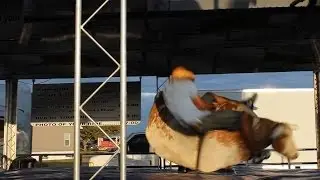 Mechanical Bull Ride Fail
