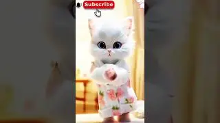 cats dance video