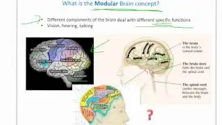 Modules, mind I