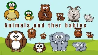Animals and their babies: puppies, infant, kittens, calf, foal - Animals