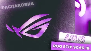 Распаковка ASUS Rog Strix Scar III / Что получает покупатель игрового ноутбука?