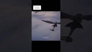 What if... Toothless found a female night fury?