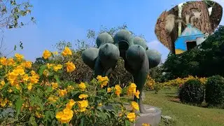 Finding Rare Squirrel in Rotfai (train) Park Bangkok,Thailand.
