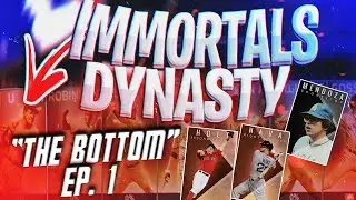 NEW SERIES 