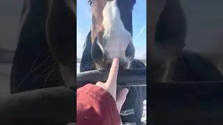Barn day!! #equestrian #vlog #ditl