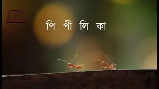 Pipilika Tv Promo