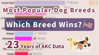 【USA Dog Breed Popularity Ranking】2002&ndash;2024 | AKC Official Data | Top 15 Breeds Bar Chart Race