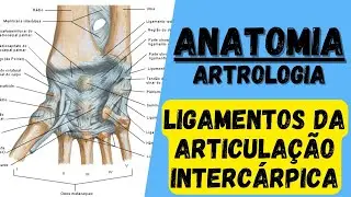 Ligamentos INTERCÁRPICOS! Anatomia: Classificação, ligamentos e movimentos.