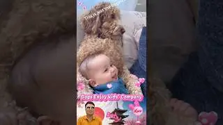 Dog enjoy kids' company 🐕👶😘❤ #baby #dog #funny #puppy #love #cute #shortvideo
