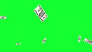 FREE  Money Falling OverLay Effect Green Screen Full HD