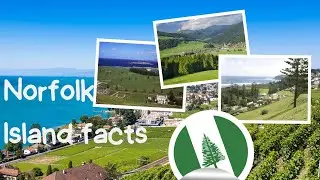 WHY NORFOLK ISLAND  IN AUSTRALIA what is norfolk island famous for #australia