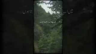Pyare Nabi Pak Saw ke nasiyat #islamicshorts #pyarenabikipyaribaatein #subscribemychannel