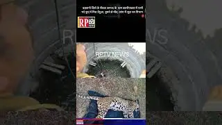 Barwani पानी भरे कुएं में गिरा तेंदुआ, डूबने से मौत, जांच में जुटा वन विभाग