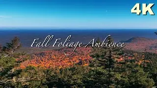 No AI Nature Ambience &mdash; New England Fall Foliage (Autumn Ambience For Sleep, Study & Relaxation)