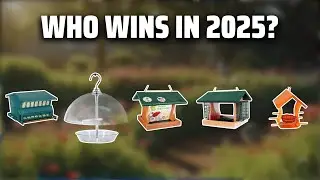 The Top 5 Best Woodlink Bird Feeders in 2025 - Must Watch Before Buying!