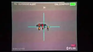 Large 9mm killed hog. PTS233