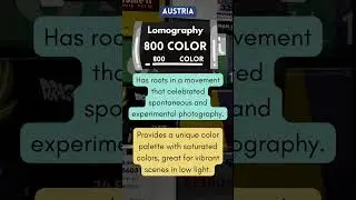 Lomography 800: A Symphony of Saturated Shades