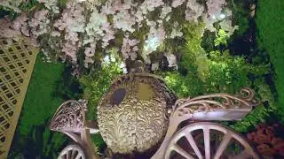Wedding Edwin & Andriani ( Cinderella Wedding Theme Decor)