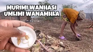 How To Farm In African Homes When It Rains| Pixie Pearls