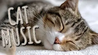 Calming Cat Lullabies 🎶 for Cat and Kitten Anxiety 🐱