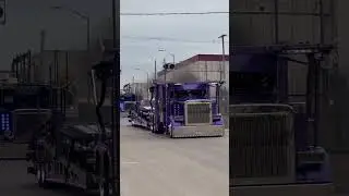 Always Haulin auto transport 🔥