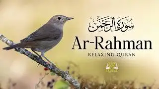 Surah Ar-Rahman (سورة الرحمن) | A Calm Quran Recitation for Peaceful Reflection