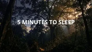 Calm Lofi Sleep Music for Deep Rest & Peaceful Dreams-Deep relaxation