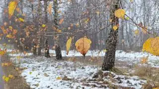 Моя авторская песня о жизни, музыка для души, под настроение