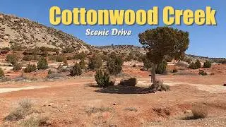 Epic Outdoor Escape: Cottonwood Creek & Dinosaur Trail, Wyoming