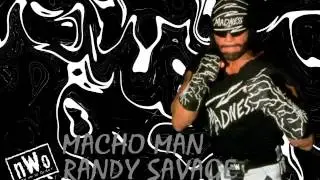 WCW - nWo Macho Man Randy Savage Theme