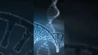 Genes Rule How Quickly We Age? 🧬😲