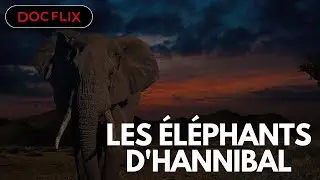 Les &eacute;l&eacute;phants d'Hannibal - DOCFLIX