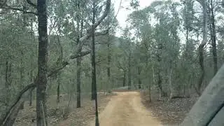 Willis Camp Ground in the Victorian High  Country