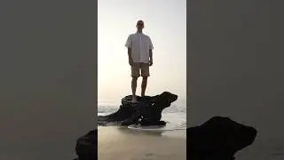 Сколько $$$ самый крупный ТЕЛЕГРАМ канал? #telegram #телеграм #smm #маркетинг