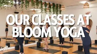 Bloom Classes, Trainings + Retreats
