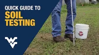 Quick Guide to Soil Testing with WVU Extension Specialist Tom Basden