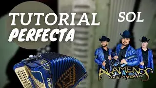 perfecta alameños de la sierra tutorial acordeón de sol