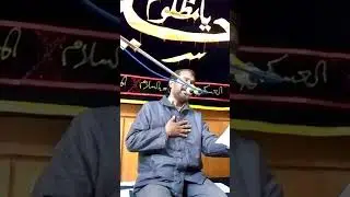 دیئے تھے جتنے فضائل خدا نے زینب (س) کو