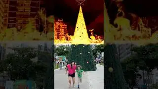 ARVORE DE NARAL VIROU LAVA 😲 #natal #davi #tiarutedavi #tiarute